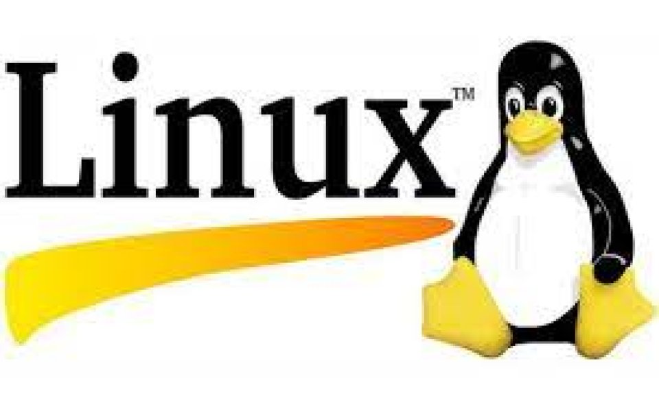 affordable linux training for beginners