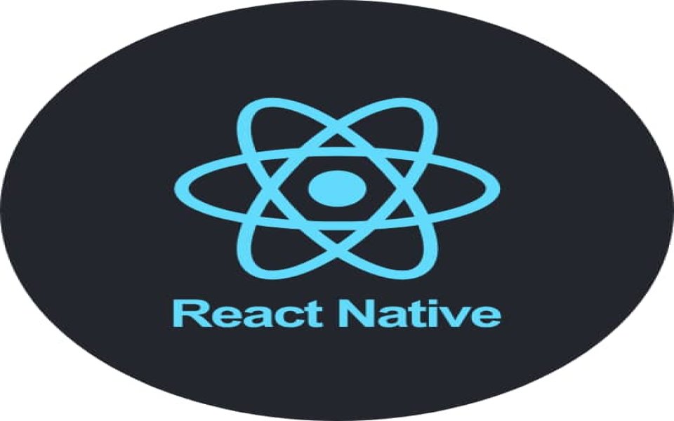 affordable diploma react native mobile app training for beginners